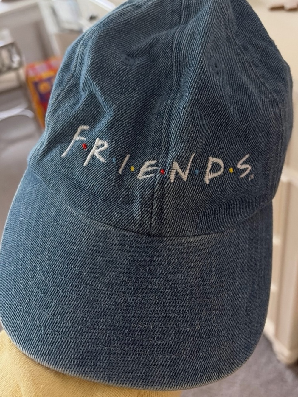 FRIENDS Embroidered Denim Cap - Blue